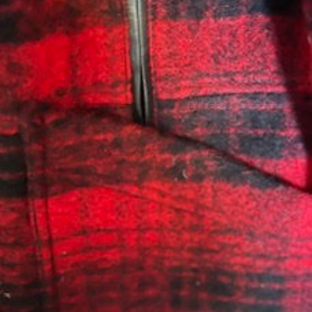 Pendleton Walker Coat - image 2